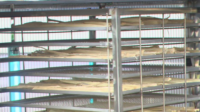 TP. Hồ Chí Minh: Khơi thông nguồn lực, đưa dự án nghiên cứu từ phòng thí nghiệm vào cuộc sống - Ảnh 3.