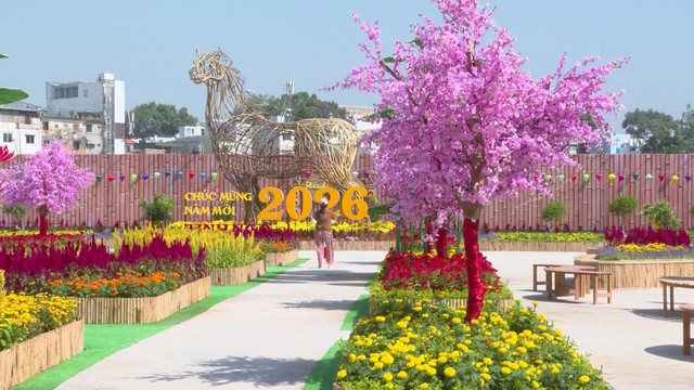 TP. Hồ Chí Minh siết quản lý cảnh quan các khu đất sau chỉnh trang - Ảnh 2.