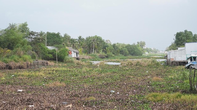 60 Giây ngày 20/3/2026 | Chủ động phòng cháy rừng Cụm đảo Hòn Khoai - Ảnh 6.