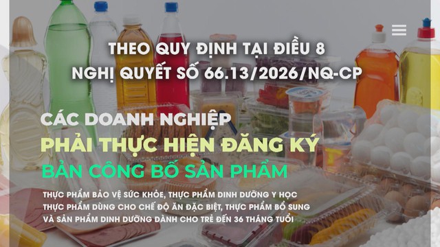 Vươn khơi - Ngày 20/3/2026 | Tăng cường giải pháp thúc đẩy xuất khẩu - Ảnh 3.