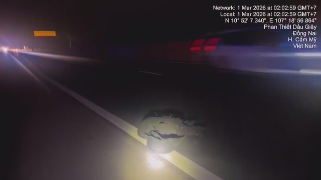 60 Giây ngày 21/3/2026 | Con trai chủ mưu cướp 2,28 triệu USD mẹ mình giữ hộ người khác - Ảnh 2.