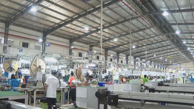 Vươn khơi - Ngày 24/3/2026 | Côn Đảo ghi nhận 48 tổ rùa biển tại Hòn Bảy Cạnh - Ảnh 2.