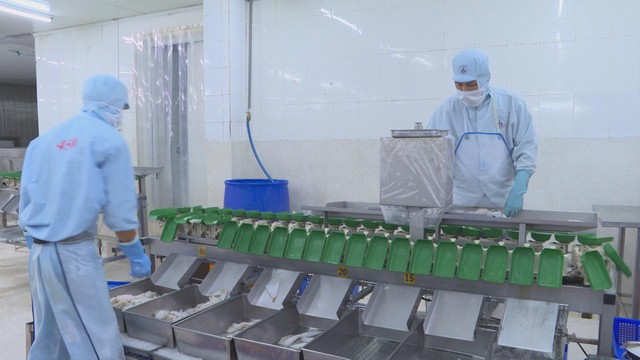 TFP - Động cơ mới cho cỗ xe kinh tế Việt Nam trong kỷ nguyên số - Ảnh 3.