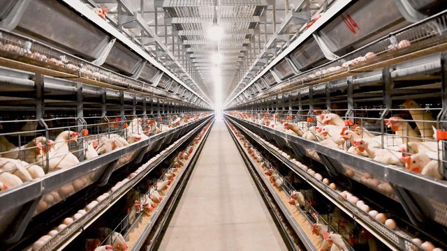 Đối sách cho doanh nghiệp trước biến động địa chính trị và giá năng lượng - Ảnh 5.