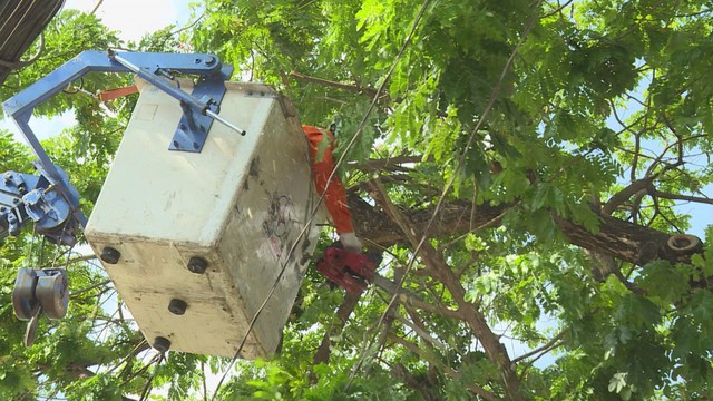 Ngành điện TP. Hồ Chí Minh bảo đảm cấp điện an toàn, liên tục phục vụ bầu cử- Ảnh 2.