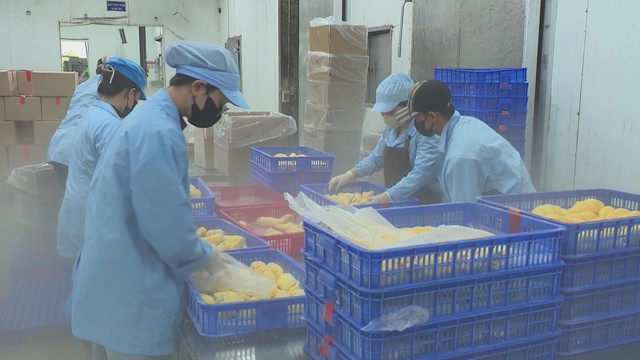 Biến động địa chính trị và bài toán thích ứng của doanh nghiệp xuất khẩu - Ảnh 4.