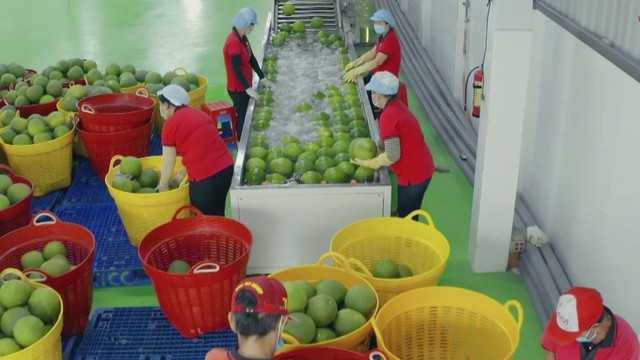 Biến động địa chính trị và bài toán thích ứng của doanh nghiệp xuất khẩu - Ảnh 2.