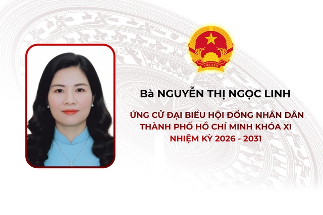 Thông tin các ứng cử viên Đại biểu Hội đồng nhân dân TP. Hồ Chí Minh Khóa XI - Đơn vị bầu cử số 14 - Ảnh 4.