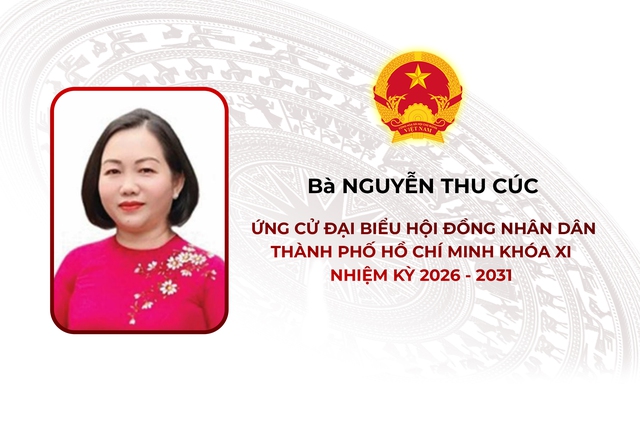 Thông tin các ứng cử viên Đại biểu Hội đồng nhân dân TP. Hồ Chí Minh Khóa XI - Đơn vị bầu cử số 1 - Ảnh 3.