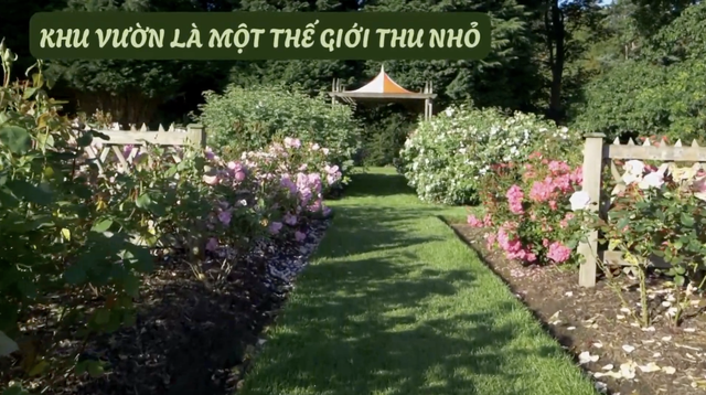 Giới thiệu Góc nhỏ kỳ diệu - Kỳ 166: Vẽ khu vườn - Ảnh 3.