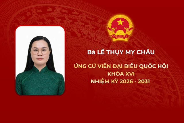 Thông tin các ứng cử viên Đại biểu Quốc hội Khóa XVI - Đơn vị bầu cử số 9 - Ảnh 2.