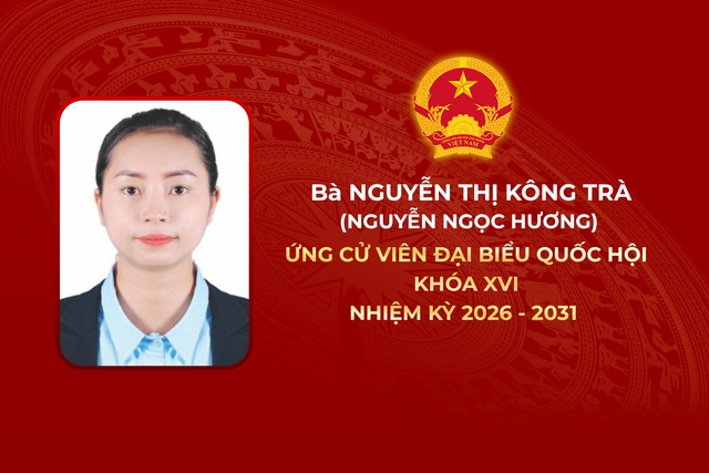 Thông tin các ứng cử viên Đại biểu Quốc hội Khóa XVI - Đơn vị bầu cử số 12 - Ảnh 3.