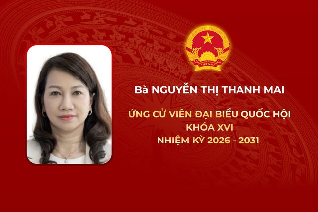 Thông tin các ứng cử viên Đại biểu Quốc hội Khóa XVI - Đơn vị bầu cử số 11 - Ảnh 3.