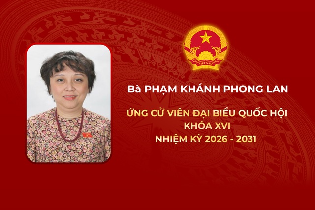 Thông tin các ứng cử viên Đại biểu Quốc hội Khóa XVI - Đơn vị bầu cử số 13 - Ảnh 4.