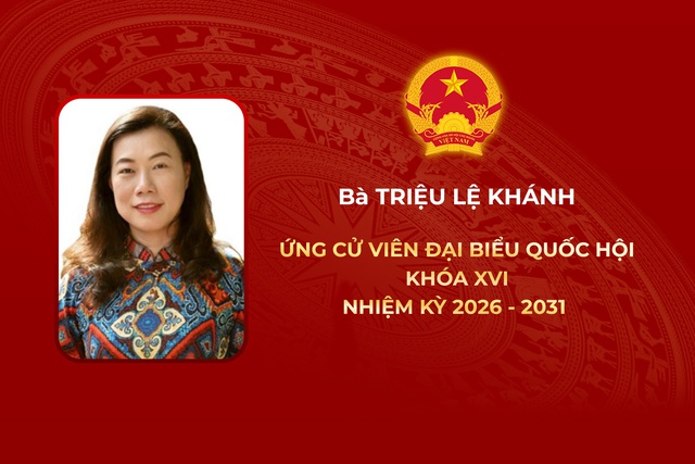 Thông tin các ứng cử viên Đại biểu Quốc hội Khóa XVI - Đơn vị bầu cử số 9 - Ảnh 4.