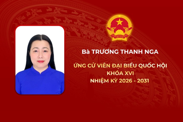 Thông tin các ứng cử viên Đại biểu Quốc hội Khóa XVI - Đơn vị bầu cử số 1 - Ảnh 5.