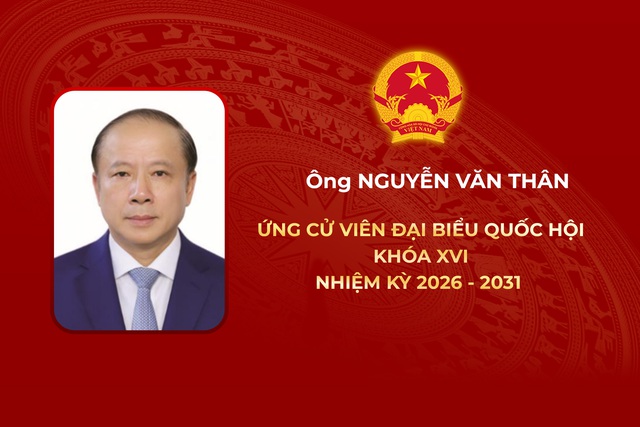 Thông tin các ứng cử viên Đại biểu Quốc hội Khóa XVI - Đơn vị bầu cử số 11 - Ảnh 5.