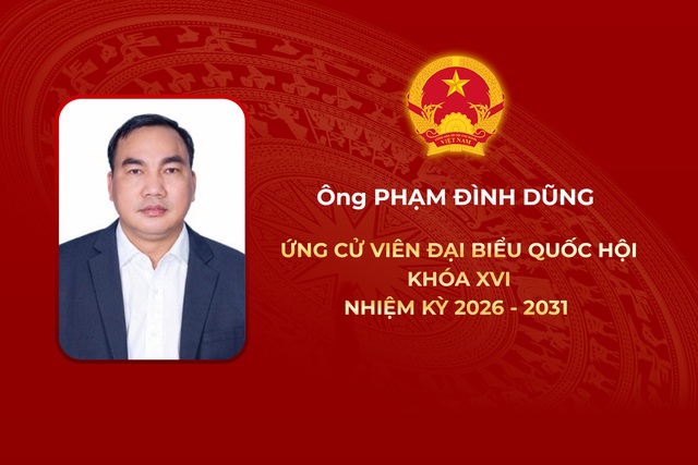 Thông tin các ứng cử viên Đại biểu Quốc hội Khóa XVI - Đơn vị bầu cử số 12 - Ảnh 2.