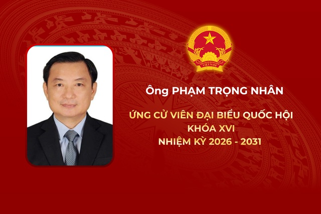 Thông tin các ứng cử viên Đại biểu Quốc hội Khóa XVI - Đơn vị bầu cử số 8 - Ảnh 4.