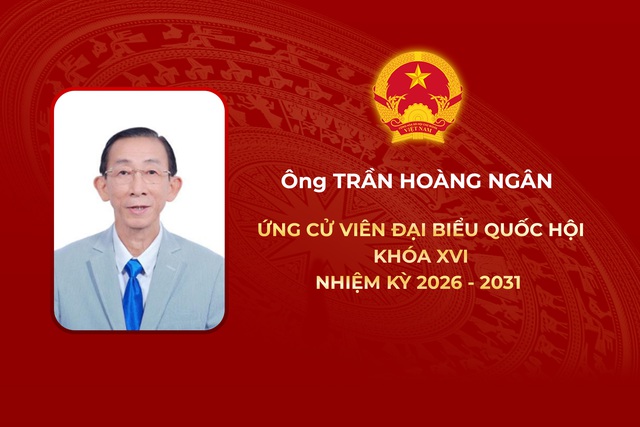 Thông tin các ứng cử viên Đại biểu Quốc hội Khóa XVI - Đơn vị bầu cử số 9 - Ảnh 6.