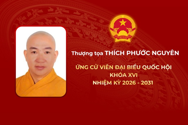 Thông tin các ứng cử viên Đại biểu Quốc hội Khóa XVI - Đơn vị bầu cử số 13 - Ảnh 5.
