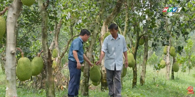 Vươn khơi - Ngày 9/3/2026 | Nâng cao giá trị sản phẩm công nghiệp nông thôn - Ảnh 2.