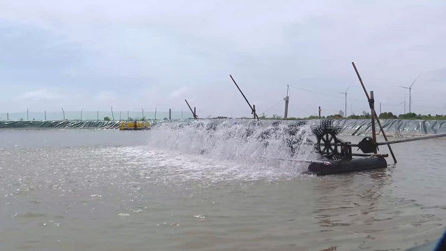 60 Giây ngày 1/4/2026 | Thành phố Hồ Chí Minh thí điểm chuyển 20 ha đất nông nghiệp thành nhà ở thương mại - Ảnh 3.