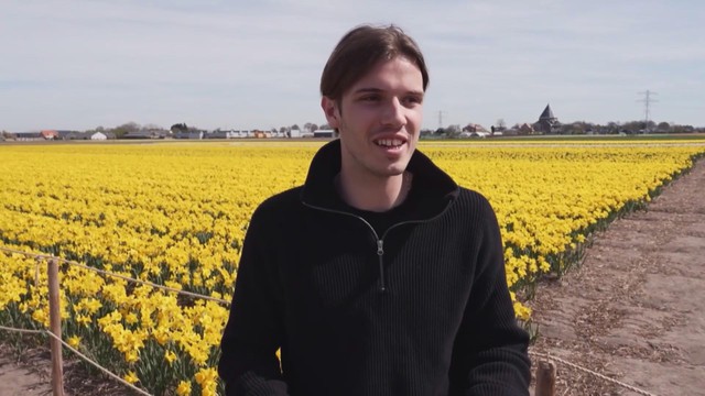 Hoa tulip và thủy tiên nở rộ trên khắp Hà Lan- Ảnh 4.