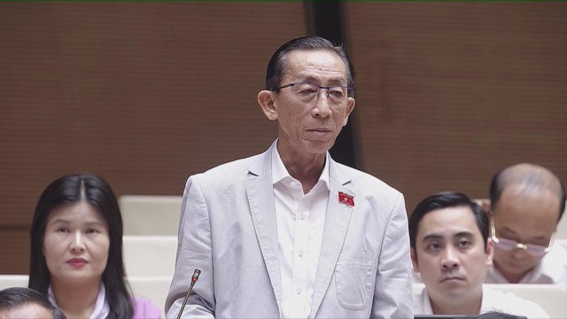 Đại biểu Quốc hội tán thành việc giảm thuế đối với xăng, dầu và nhiên liệu bay - Ảnh 2.