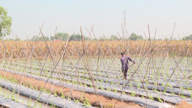 TP. Hồ Chí Minh tăng cường ứng phó mùa khô 2026 - Ảnh 3.