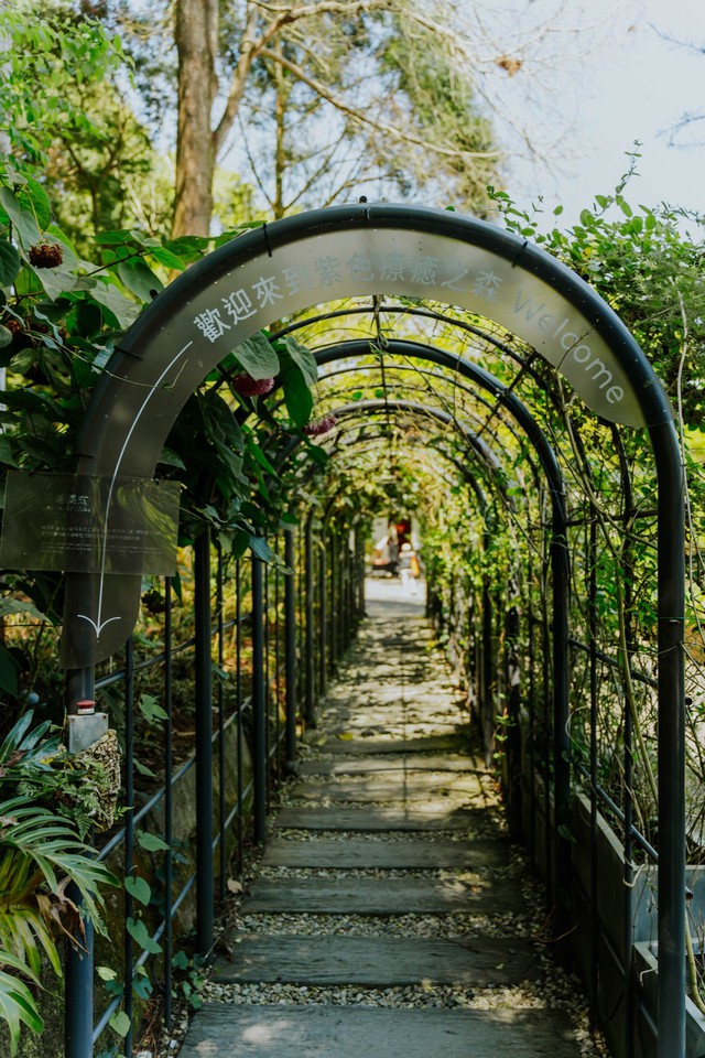 Sống chậm giữa Lavender Forest: Khi thiên nhiên trở thành liệu pháp tinh thần - Ảnh 4.