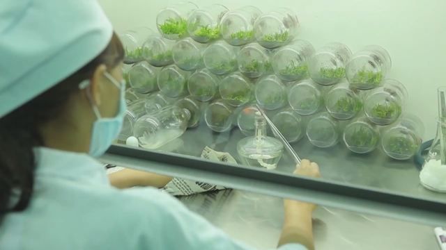 TP. Hồ Chí Minh thúc đẩy khởi nghiệp đổi mới sáng tạo trong nông nghiệp công nghệ cao - Ảnh 2.