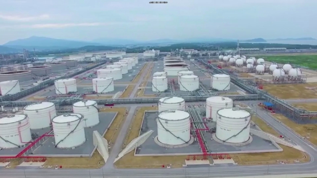 Giảm thuế xăng dầu: “Đòn bẩy” hỗ trợ doanh nghiệp vượt áp lực chi phí- Ảnh 1.