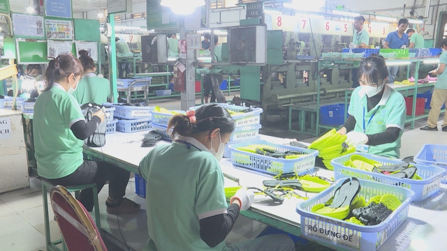 Vươn khơi - Ngày 17/4/2026 | Da giày Việt Nam hướng tới mục tiêu xuất khẩu 100 tỷ USD - Ảnh 1.