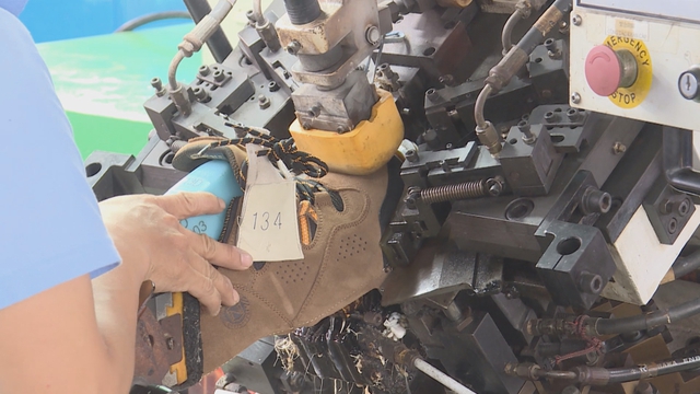 Vươn khơi - Ngày 17/4/2026 | Da giày Việt Nam hướng tới mục tiêu xuất khẩu 100 tỷ USD - Ảnh 3.