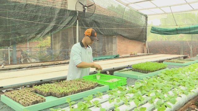 TP. Hồ Chí Minh thúc đẩy nông nghiệp công nghệ cao, thích ứng đô thị hóa và biến đổi khí hậu - Ảnh 3.