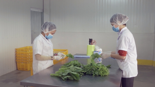 TP. Hồ Chí Minh thúc đẩy nông nghiệp công nghệ cao, thích ứng đô thị hóa và biến đổi khí hậu - Ảnh 5.