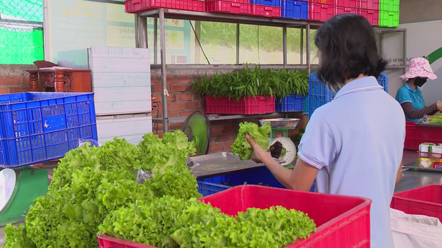 Nông dân TP. Hồ Chí Minh linh hoạt ứng phó để tiết kiệm chi phí trong sản xuất - Ảnh 3.