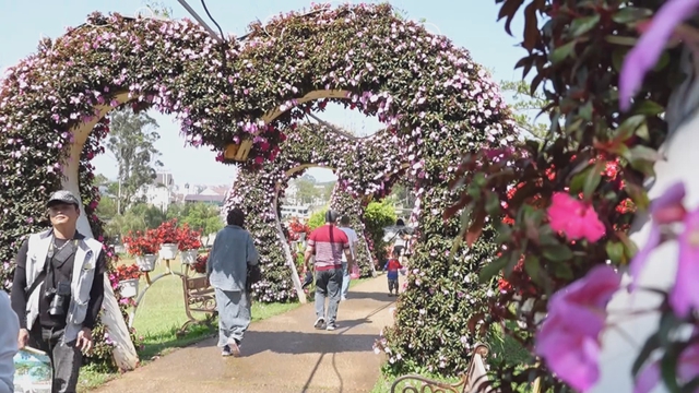 60 Giây ngày 22/4/2026 | Hưởng ứng Ngày Trái Đất 22/4: Chung tay nhặt rác, lan tỏa thông điệp sống xanh - Ảnh 3.