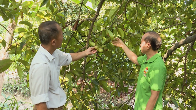 60 Giây ngày 22/4/2026 | TP. Hồ Chí Minh đẩy nhanh cải tạo 39 chung cư cũ, gỡ nút thắt quy hoạch - Ảnh 3.