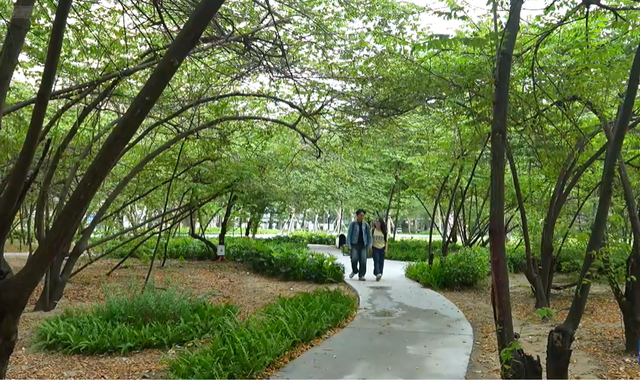 Cùng HTV Hành động xanh 2026 - Tập 4: Hồi sinh mảng xanh - Khơi nguồn sức sống đô thị- Ảnh 2.