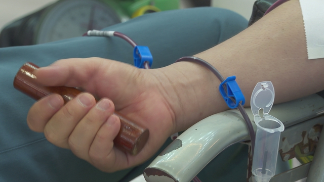 TP. Hồ Chí Minh phát động Tháng Nhân đạo 2026: Lan tỏa hành trình nhân ái vì cộng đồng - Ảnh 2.