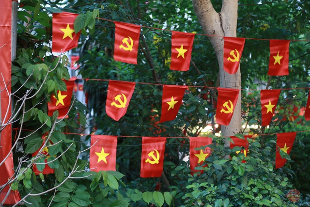 TP. Hồ Chí Minh rực rỡ sắc đỏ cờ hoa, tưng bừng không khí chào mừng đại lễ 30/4- Ảnh 8.