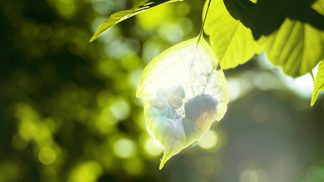 Khu đô thị Đại học Quốc tế: Động lực nâng tầm vị thế khu vực Tây Bắc TP. Hồ Chí Minh - Ảnh 3.