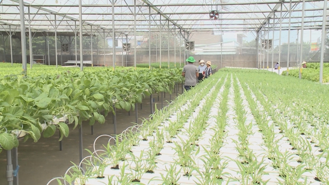 Vươn khơi - Ngày 29/4/2026 | Hồ Tràm sẵn sàng lên phường- Ảnh 3.