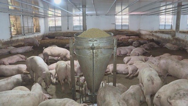 60 Giây 3/4/2026 | Lễ khai mạc Cúp Truyền hình 2026 - Ảnh 3.