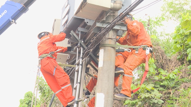 TP. Hồ Chí Minh đảm bảo cung cấp điện an toàn, liên tục dịp lễ 30/4 – 1/5- Ảnh 3.