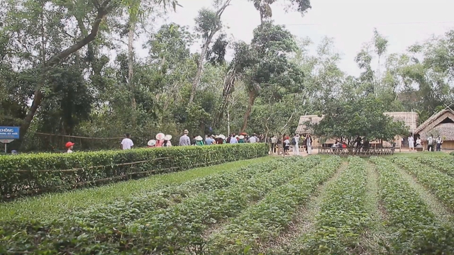 Tháng Tư về – Hành trình tri ân quê hương Bác Hồ- Ảnh 4.