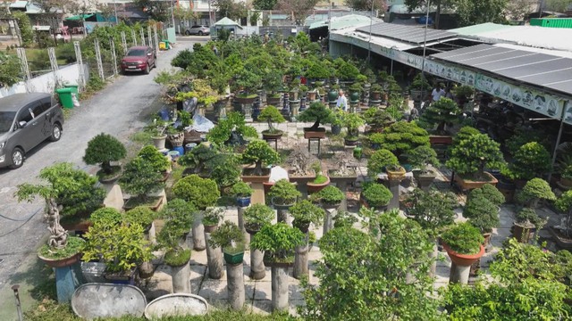 Nỗ lực tìm thị trường tiêu thụ cho hội viên sinh vật cảnh - Ảnh 1.