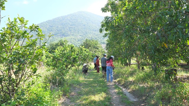 Hồi sinh vùng quê từ mô hình "Ngôi làng của chính mình" - Ảnh 3.
